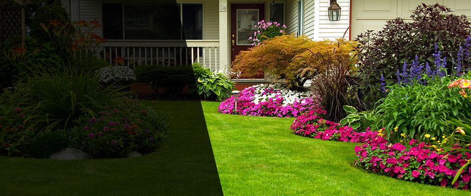 Alva Landscapers