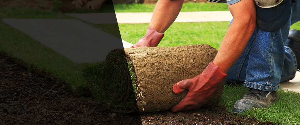 Alva Landscapers